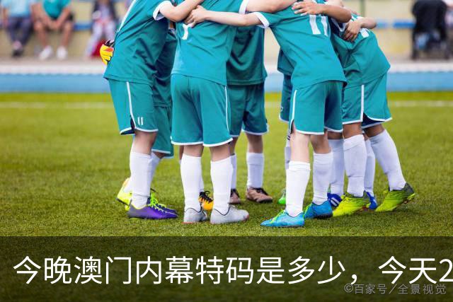 今晚澳门内幕特码是多少，今天296期特码资料是多少每日分享