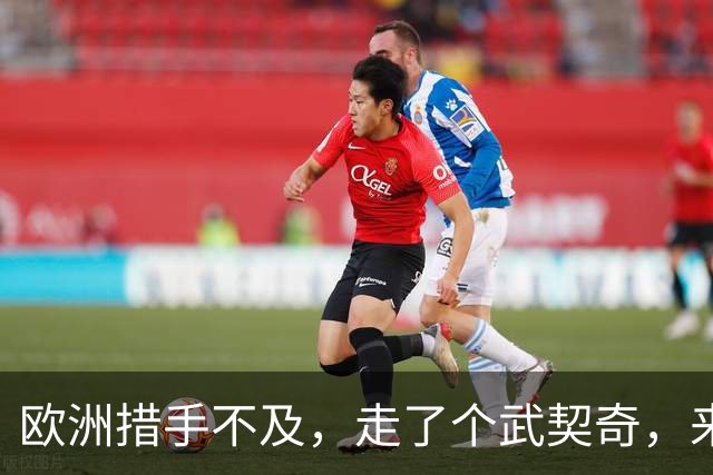 欧洲措手不及，走了个武契奇，来了个更硬的！学生名单对中俄表态